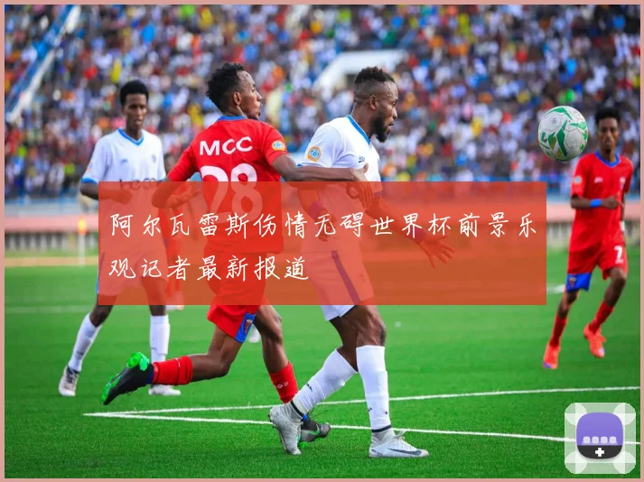 阿尔瓦雷斯伤情无碍世界杯前景乐观记者最新报道
